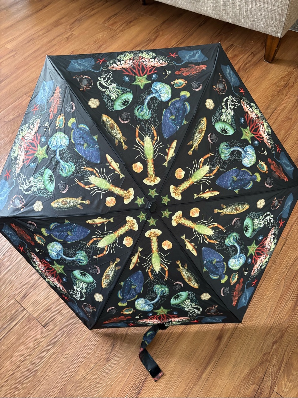 Compact Black Umbrella with Colorful Sea Creature Print. - Picture 3 of 9